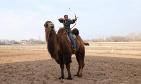 4 мишени за 10 секунд с верблюда: казахстанка установила мировой рекорд