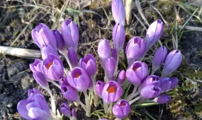 В Астане туман, в Алматы и Шымкенте дождь: погода в понедельник, 23 марта