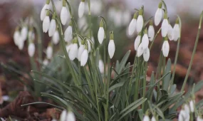 Энергия перемен: что принесёт 23 марта каждому знаку