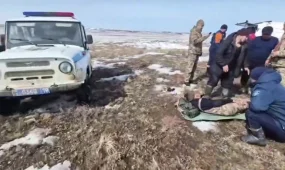 Выжил в степи: пастуха с травмой нашли после пятидневных поисков