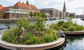 Плавучие острова с цветами для пчел и птиц запустили в гавани Копенгагена