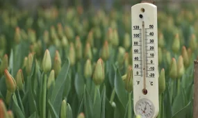 В Астане +10, в Шымкенте +27: погода в четверг, 26 марта