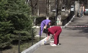 «AMANAT» партиясының мүшелері мен дәрігерлер “Таза бейсенбі” акциясын өткізді