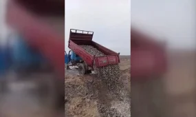 Причины массовой гибели рыбы в одном из водоёмов выясняют в ЗКО