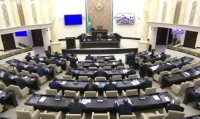 Сенат упростил взыскание алиментов за рубежом