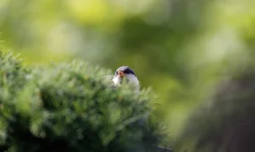 Погода на 27 марта: в Астане гололедица, на юге — до +28