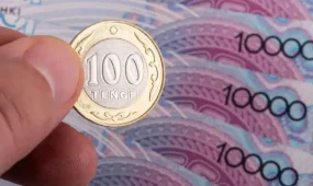 Амнистия бойынша айыппұл кімдерге кешіріледі?