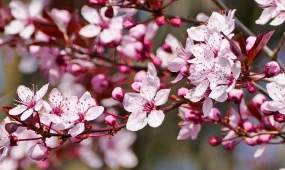 Ауа температурасы +30 градусқа дейін көтеріледі