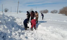 234 ауыл қорғалған: Қазақстанда су тасқынының шарықтау шегі қай өңірлерде?