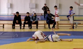 Алматы облысында «AMANAT» партиясының ұйымдастыруымен қазақ күресінен турнир өтті