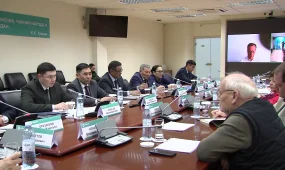 "Қазақстандық тауарлар сөрелерден ығыстырылып, импорт бағаларды демпинг жасап жатыр", — «AMANAT» партиясы