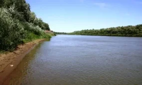 Жайық өзенінің деңгейі бір тәулікте бір метрге көтерілді