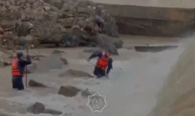 Поиски утонувшего ребёнка в Туркестанской области: в МЧС рассказали подробности