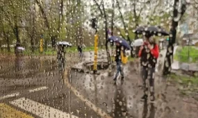 Ертең жаңбыр жауып, жел екпіні күшейеді