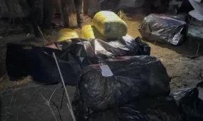 Жезқазған - Қарағанды автожолында есірткі тасымалдауға қатысы бар 5 адам ұсталды