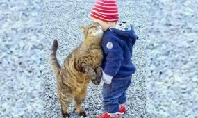 Кошки оказались худшими питомцами для маленьких детей