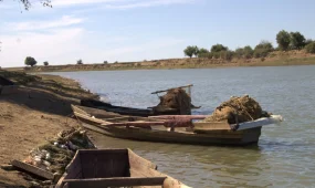 Арал-Сырдария бассейнінде балық аулауға шектеу қойылды