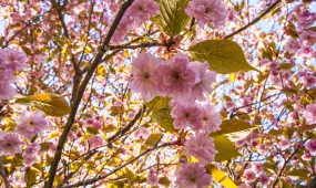 +32 градус ыстық болады