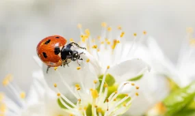 Потепление и осадки: какой будет погода 31 марта в Астане, Алматы и Шымкенте