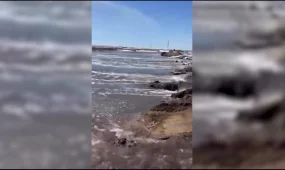 Паводковые воды начали подтапливать населенные пункты сразу в двух районах Костанайской области