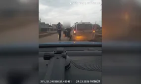 Почти 250 нетрезвых водителей задержали в Уральске с начала года