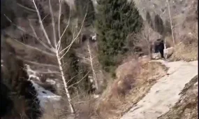 Прогулка обернулась спасательной операцией: туристки не смогли спуститься в Алма-Арасане