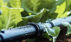 В Казахстане в пять раз ускорили внедрение водосберегающих технологий