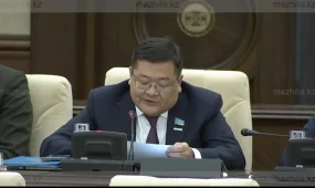 «Так больше продолжаться не может», - депутат о трагедии в Алматы