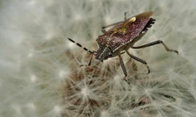 Қандаладан құтылу үшін eOtinish арқылы өтініш беруге болады