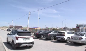 Алматы облысында 5 жастағы баланы ойнап қорқытқан оқушылар жазаланды