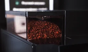 Кофе с насекомыми. Покупка напитка из автомата обернулось судебным разбирательством в Костанае