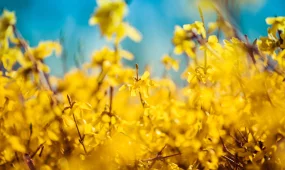 Весна набирает обороты: какая погода ожидается 2 апреля в Астане, Алматы и Шымкенте