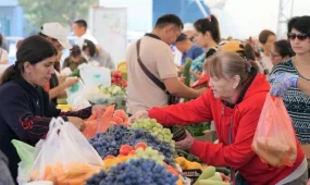 Астанада демалыс күндері ауыл шаруашылығы жәрмеңкесі өтеді