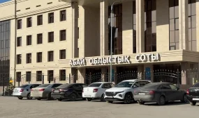 Семейде көпбалалы ана адам саудасы үшін сотталды