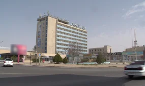 Жүкті әйелдерге арналған жәрдемақыны заңсыз рәсімдеген бухгалтер сотталды