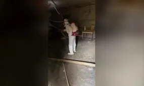 Астанада жәндіктерге қарсы залалсыздандыру жұмыстарына дайындық басталды