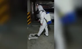 В Астане началась подготовка к обработке от насекомых