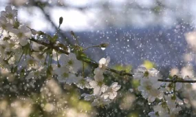 Дожди идут в Казахстан