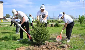 «Не разовая акция, а повседневная культура»: абайцев приглашают на масштабный субботник