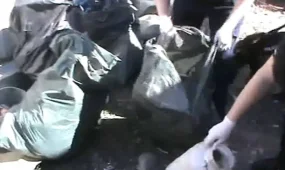 Жетісу облысында екі есірткі зертханасы әшкереленді