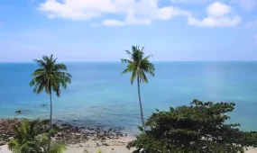 Таиландта қазақстандық әйел заңсыз жұмыс істегені үшін ұсталды