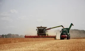 Стартует приём заявок по программам «Свои корма» и «Льготный лизинг»