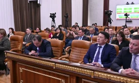 Аудит в Костанайской области. Финансы на реальные проекты