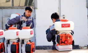 В Астане начнётся масштабная борьба с комарами и мошками