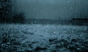 Нөсер жаңбыр жауады