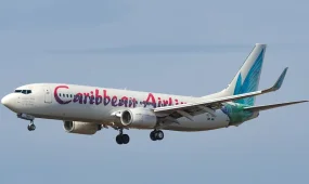 Ребёнок родился на борту самолёта по пути в Нью-Йорк