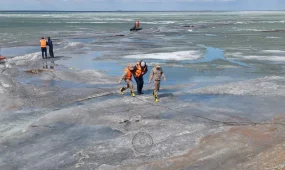 Рыбаков спасли из ледяного плена в Павлодарской области