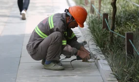 В Японии предложили платить за доносы о нелегальных работниках