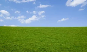 В Актобе изъяли неиспользуемый участок: почти 2 гектара вернули государству