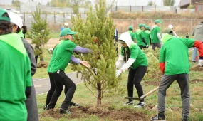 Алматы превращается в зелёный город: в 2026 году высадят полмиллиона растений